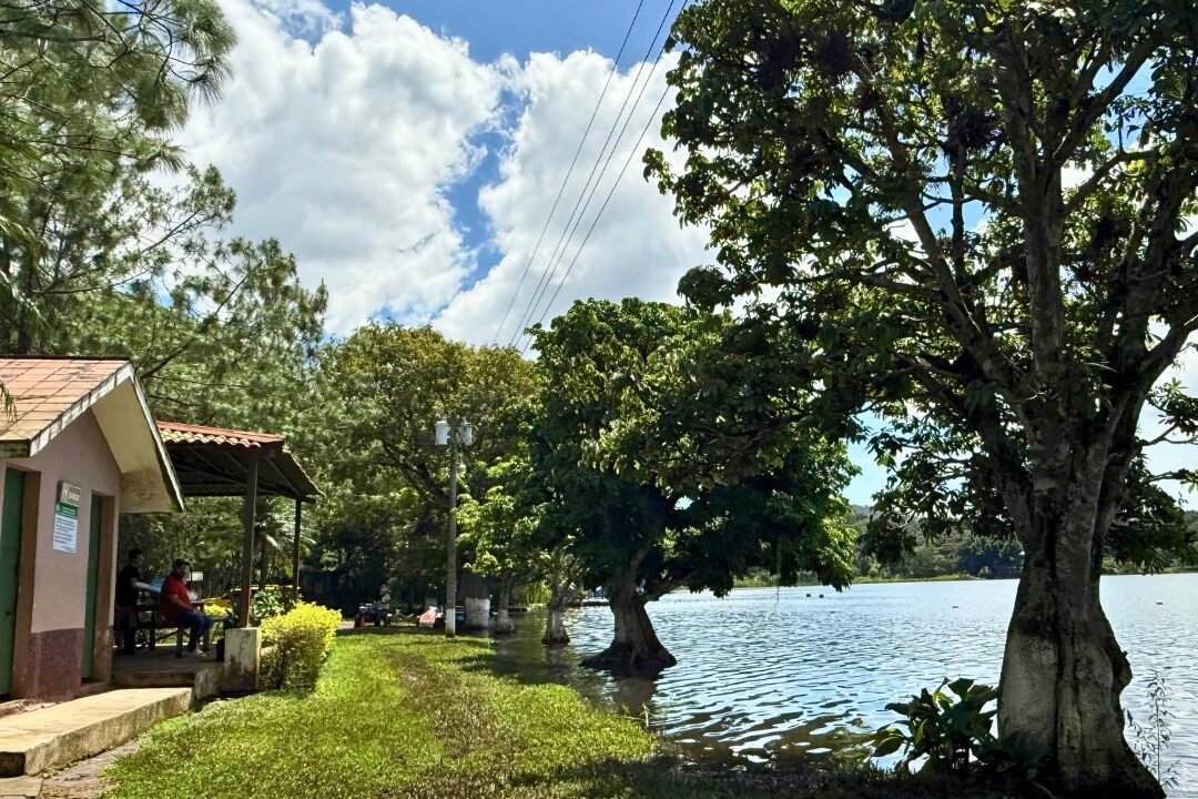 Terreno en Laguna del Pino Espectacular Vista a la Laguna (5)