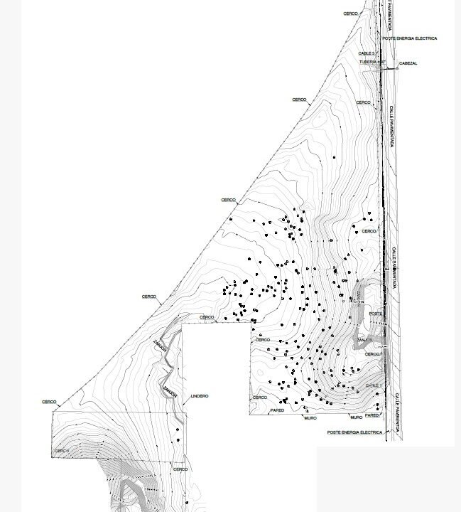 WhatsApp Image 2025-11-24 at 12.50.46 PM (1)