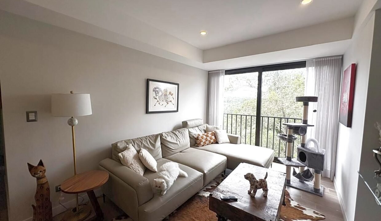 departamento zona 11 ciudad guatemala linda vista gimnasio elevador comodidad (4)