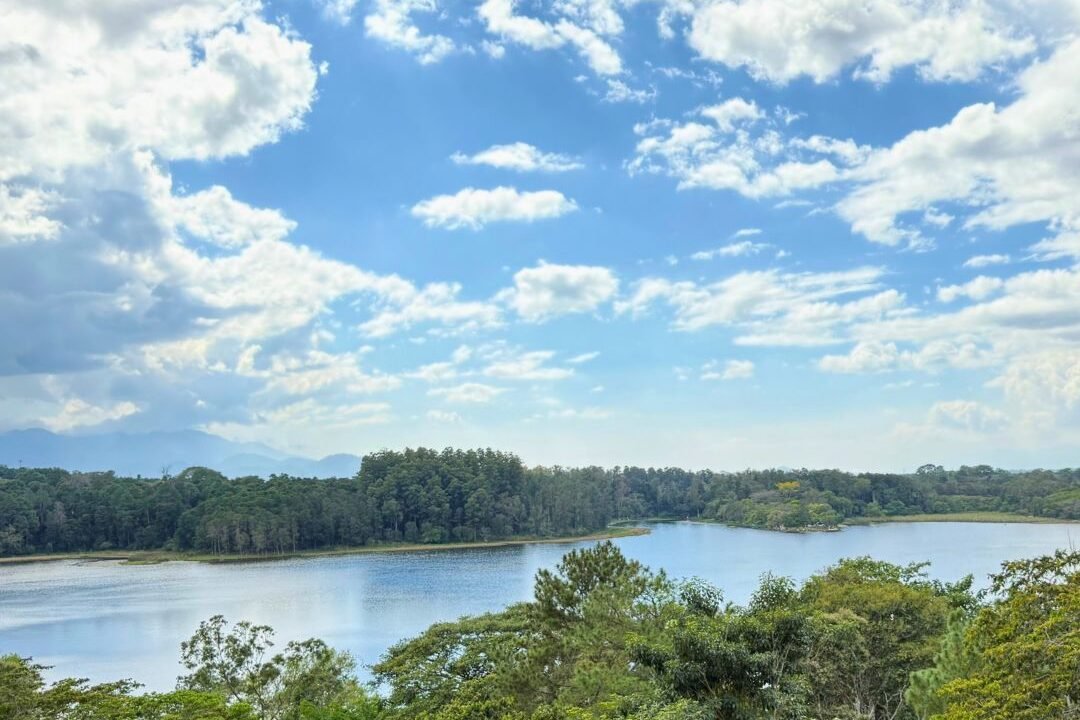 laguna del pino neuvas fotos (11)