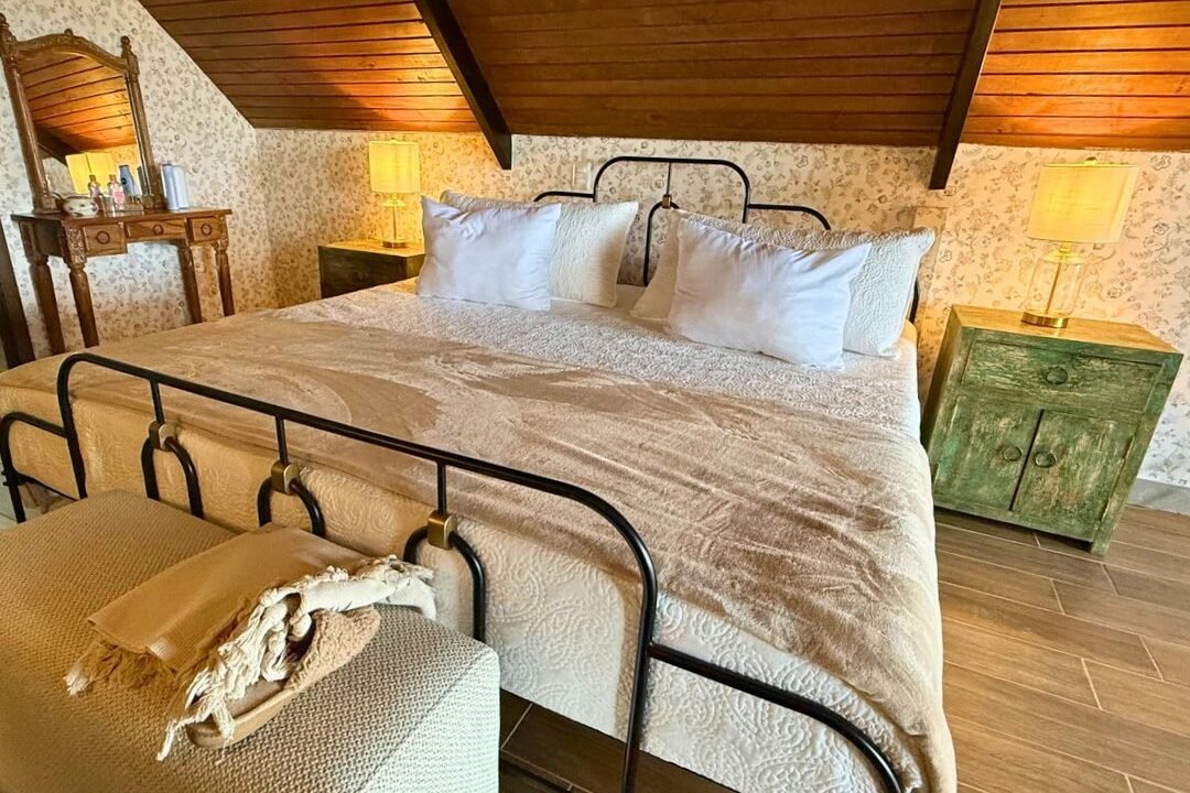 laguna del pino neuvas fotos (5)