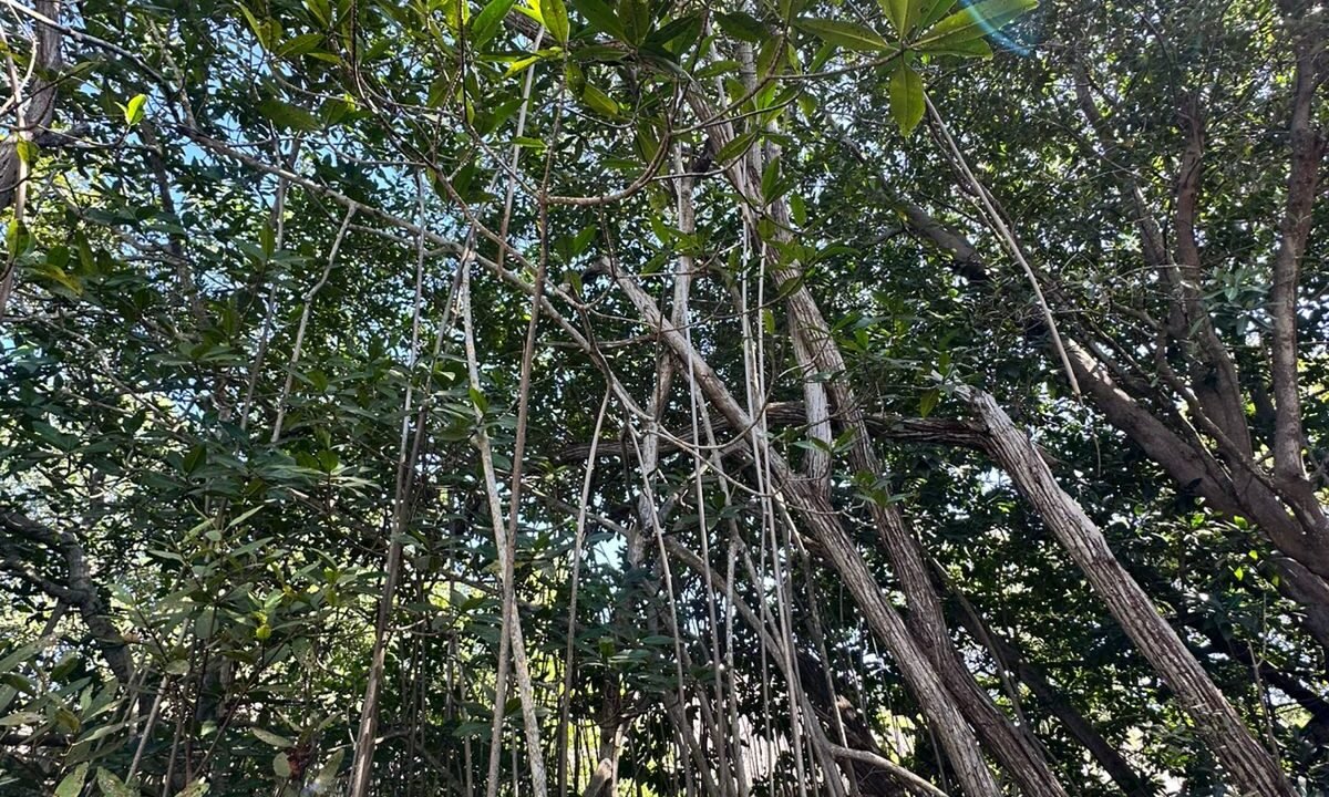 Casa En Likin Dos Piscinas Dos Ranchos (6)