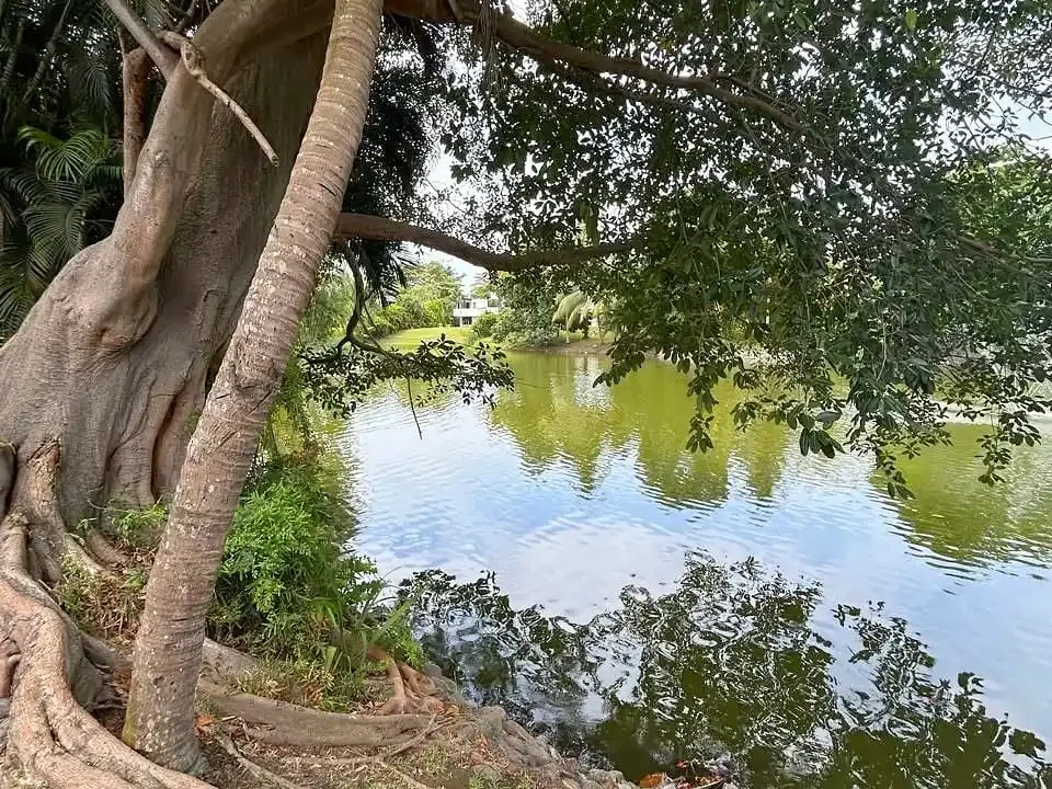 Casa en Puerta del Mar Excelente Estado Vista a la Laguna 2 (2)