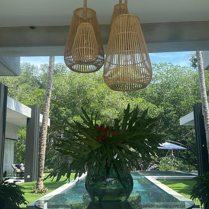 likin casas de manglar reserva de manglar (7)