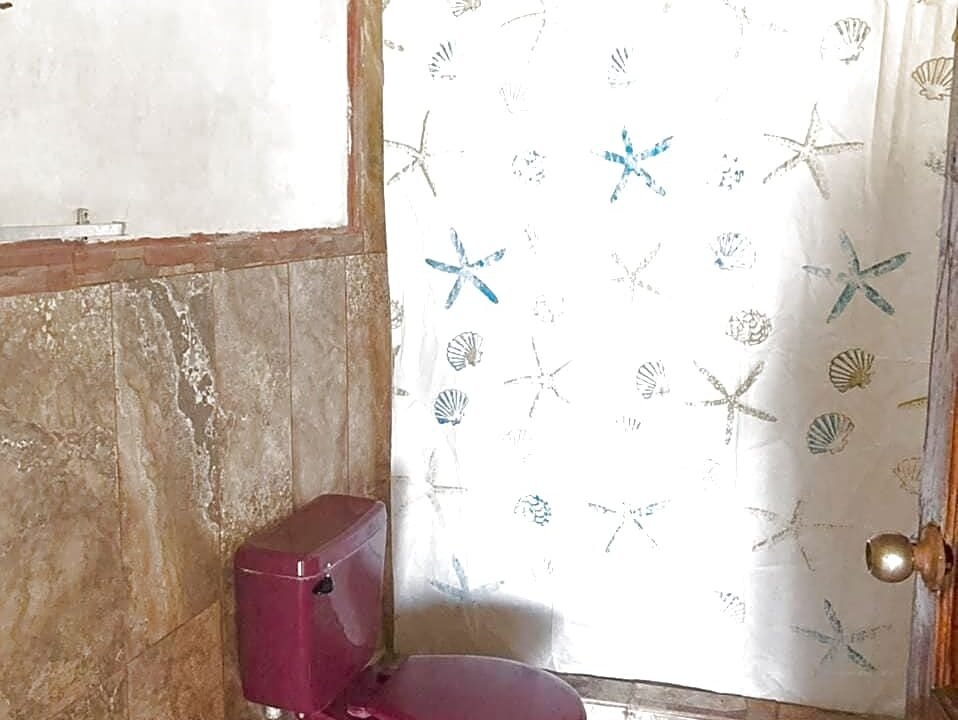 nautilus frente al mar togoban (2)