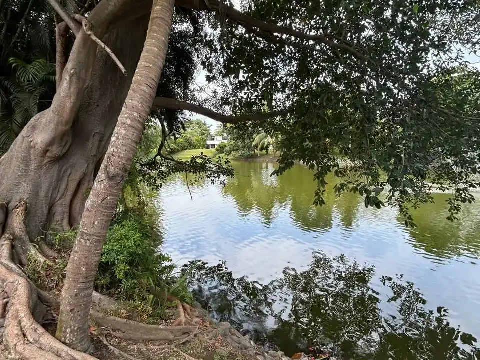 Casa en Marena Amplios Espacios Chulamar (14)