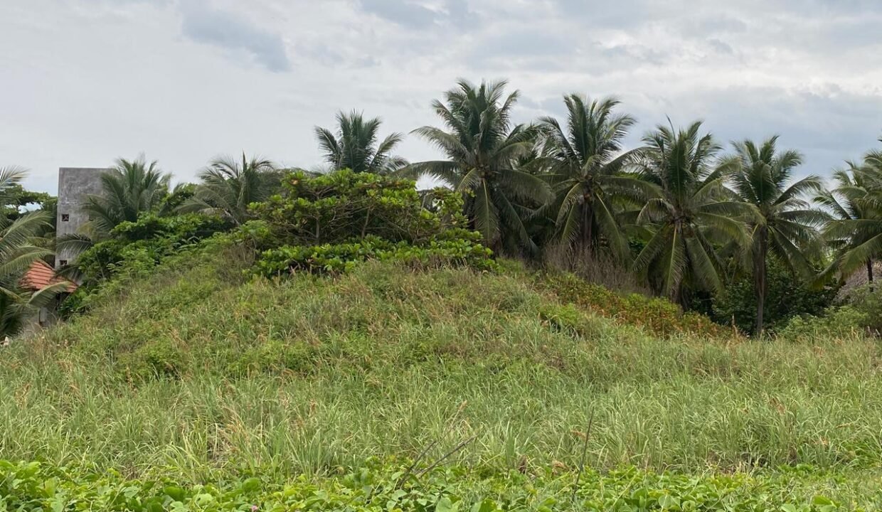Terreno en Monterrico Km 143 Aldea el Banco (11)