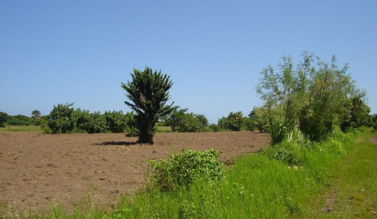 Terreno en Monterrico Km 143 Aldea el Banco (2)