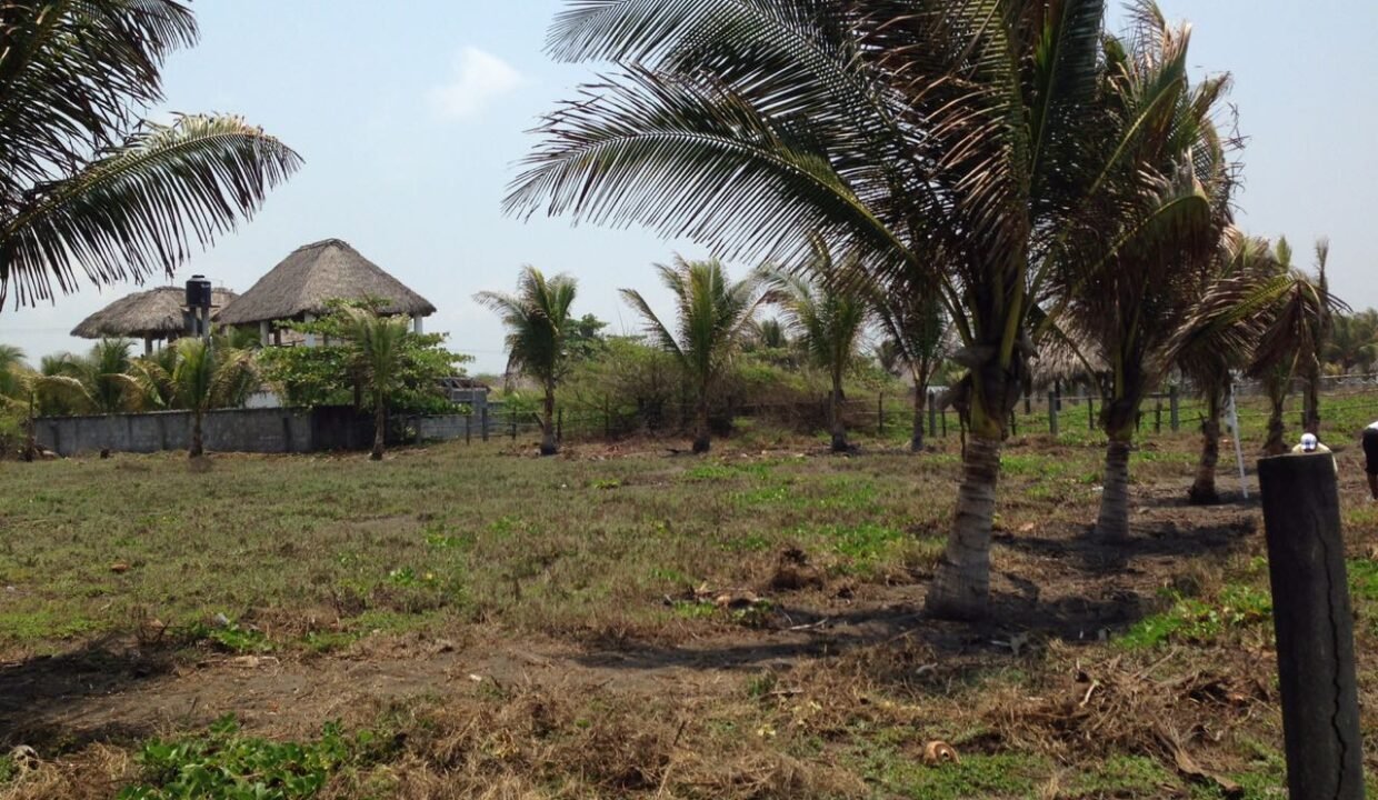 Terreno en Monterrico El Cebollito Km 155 32 x 78 metros (1)