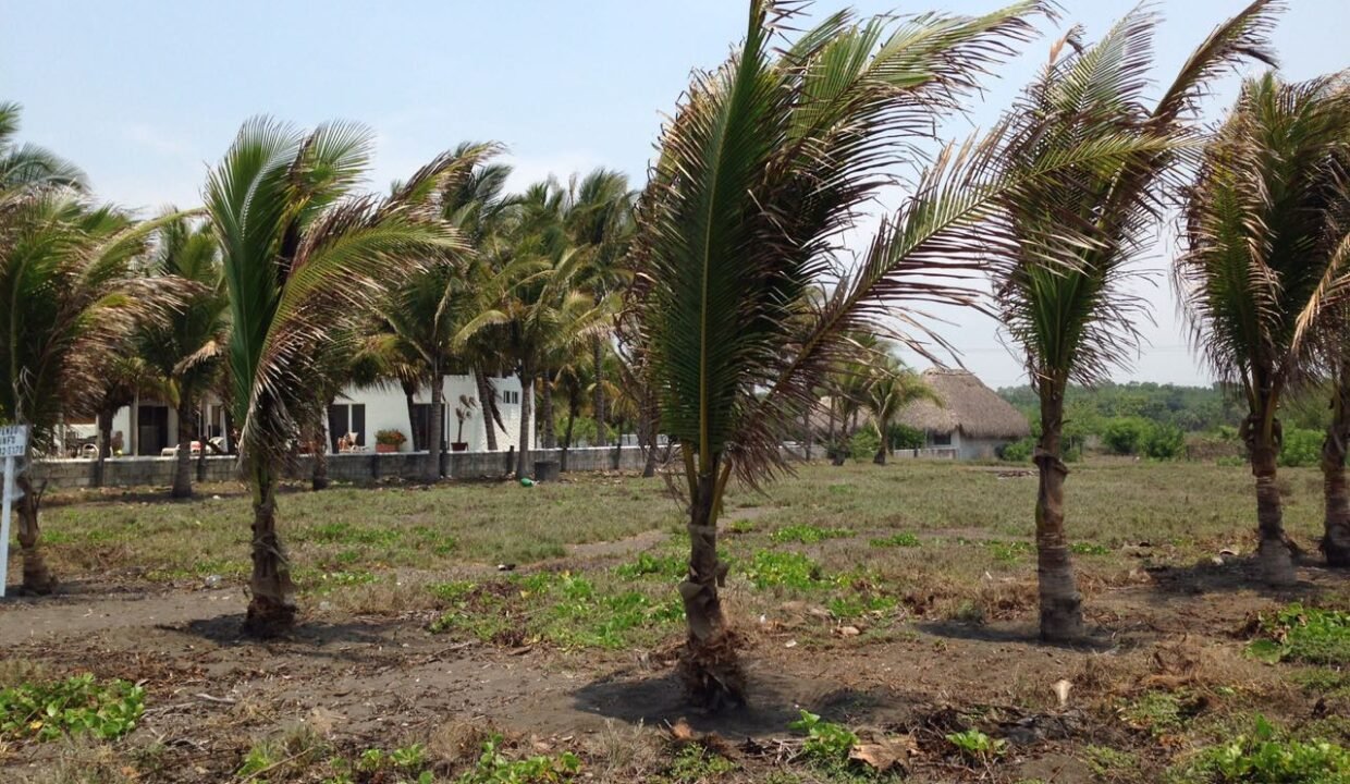 Terreno en Monterrico El Cebollito Km 155 32 x 78 metros (2)