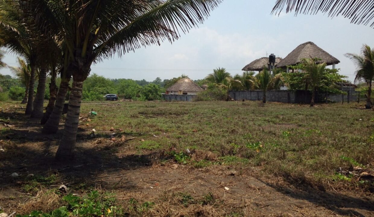 Terreno en Monterrico El Cebollito Km 155 32 x 78 metros (3)