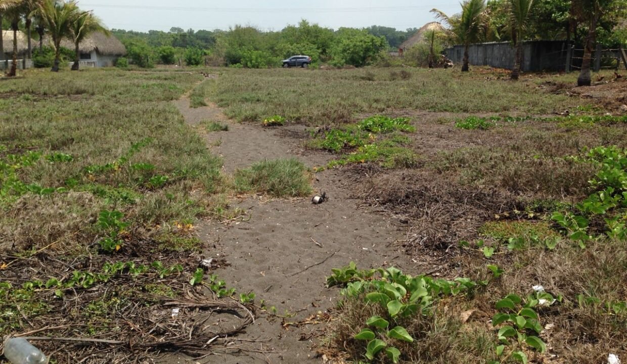 Terreno en Monterrico El Cebollito Km 155 32 x 78 metros (4)