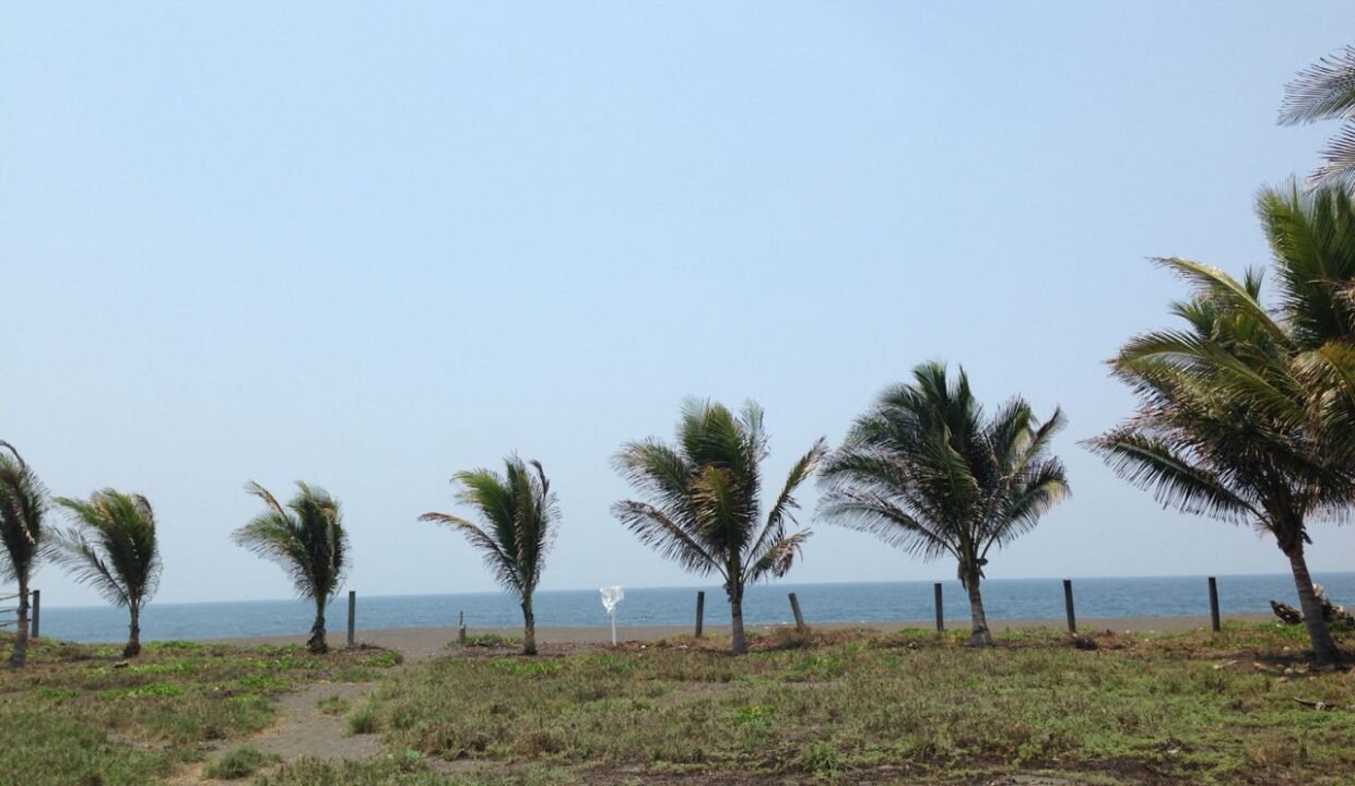 Terreno en Monterrico El Cebollito Km 155 32 x 78 metros (6)