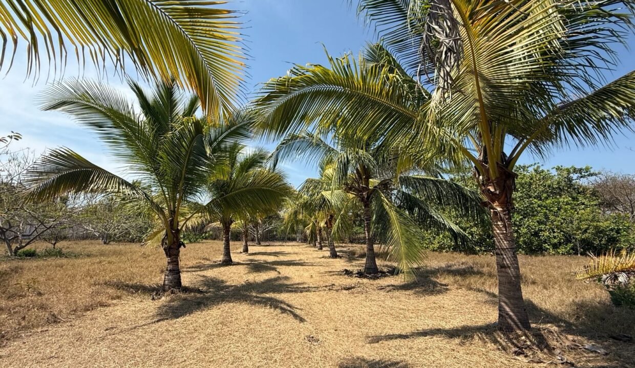 Terreno en Monterrico Grande Ideal para Desarrollo Inmobiliario Monterrico (1)2