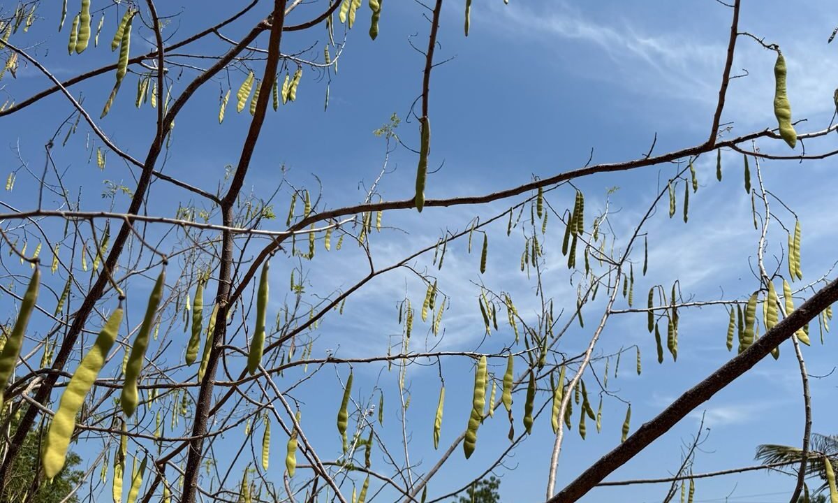 Terreno en Monterrico Grande Ideal para Desarrollo Inmobiliario Monterrico (3)