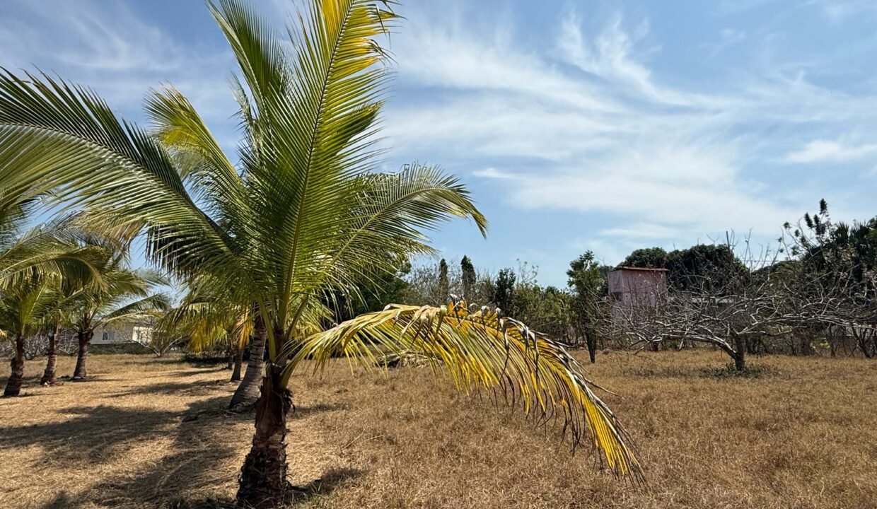 Terreno en Monterrico Grande Ideal para Desarrollo Inmobiliario Monterrico (4)