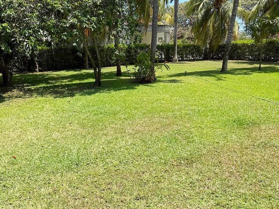 processed-exterior-p3ewwx44o