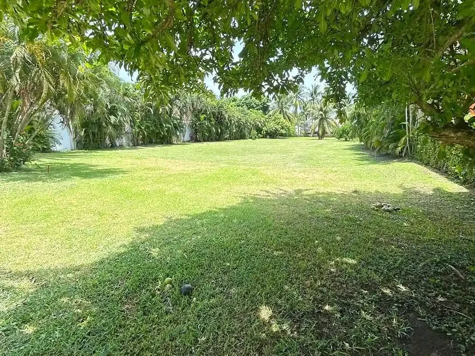 processed-exterior-0g91ixwni