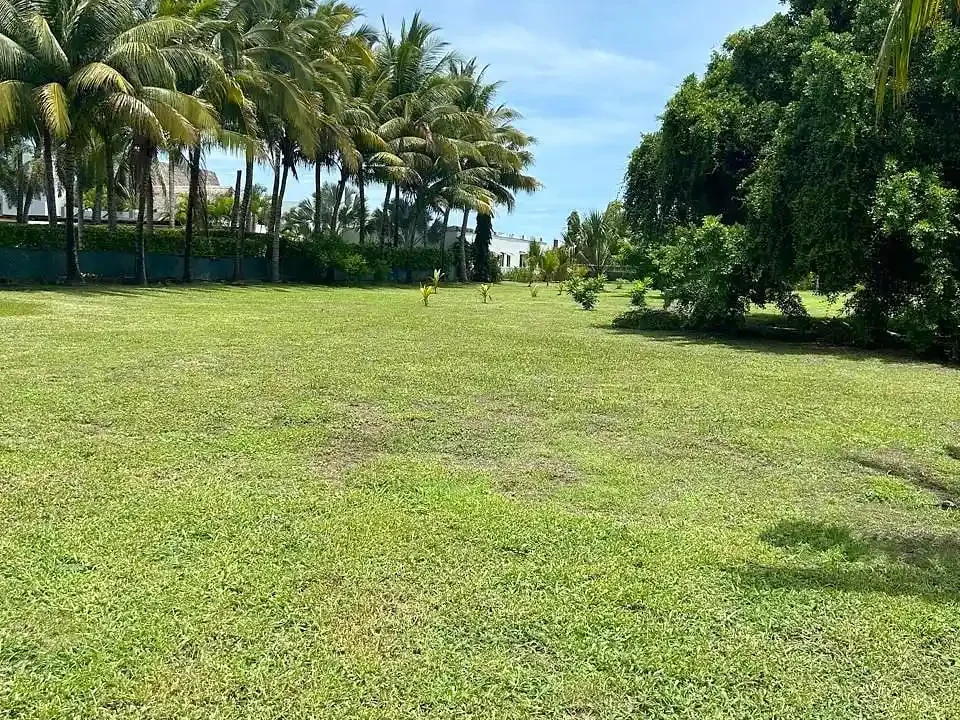 processed-exterior-4y91hcd76