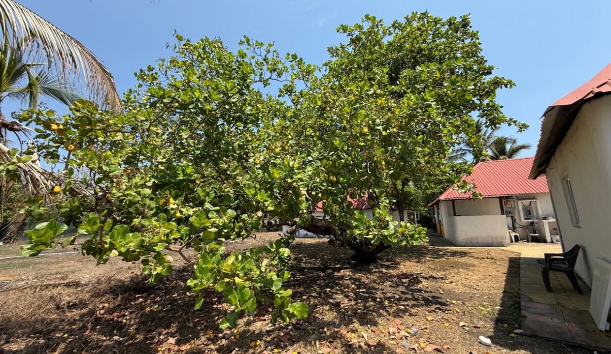 Casa en Monterrico KM 134 4 Bungalows con Amplio Jardín Ideal para Hotelito en Airbnb (12)