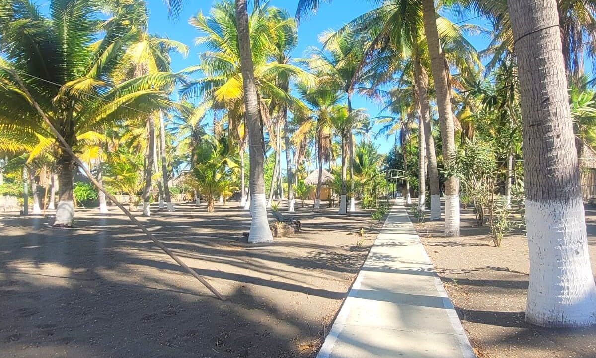 Hotel con Amplio Terreno en El Jiote, Las Lisas Oportunidad de Inversión (13)
