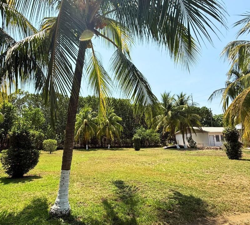 Terreno en Aldea El Conacaste Jardinizado Monterrico (2)