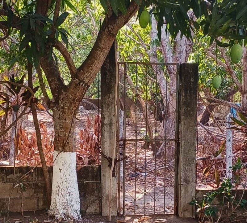 Terreno en Aldea El Conacaste Jardinizado Monterrico (4)