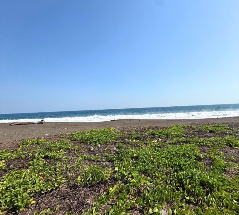 Terreno en Monterrico Amplio Terreno a 60mts del Mar El Cebollito (1)