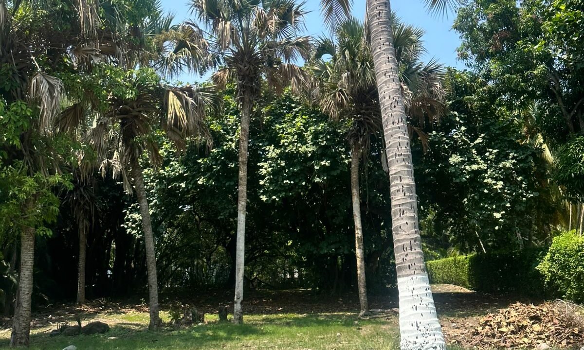 Terreno en Sea Side Buena Ubicación Con Título de Propiedad (1)