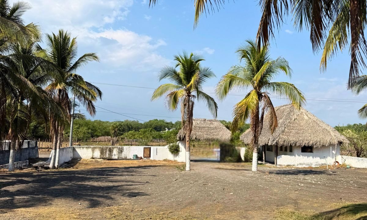 Casa en Monterrico KM 155 Frente al Mar Casa de Playa Española (15)