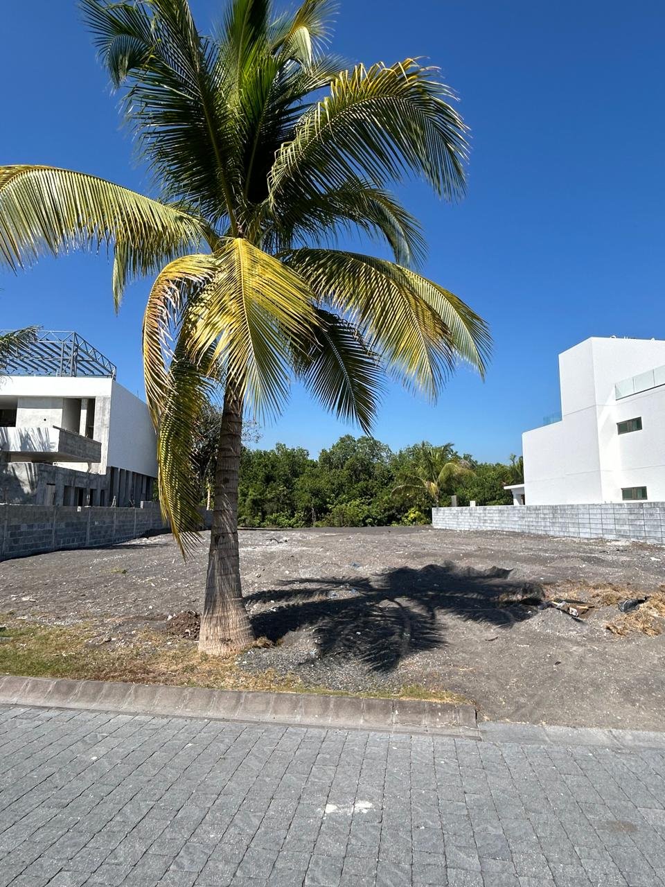 Terreno en Brisas | Lado Manglar/Laguna |