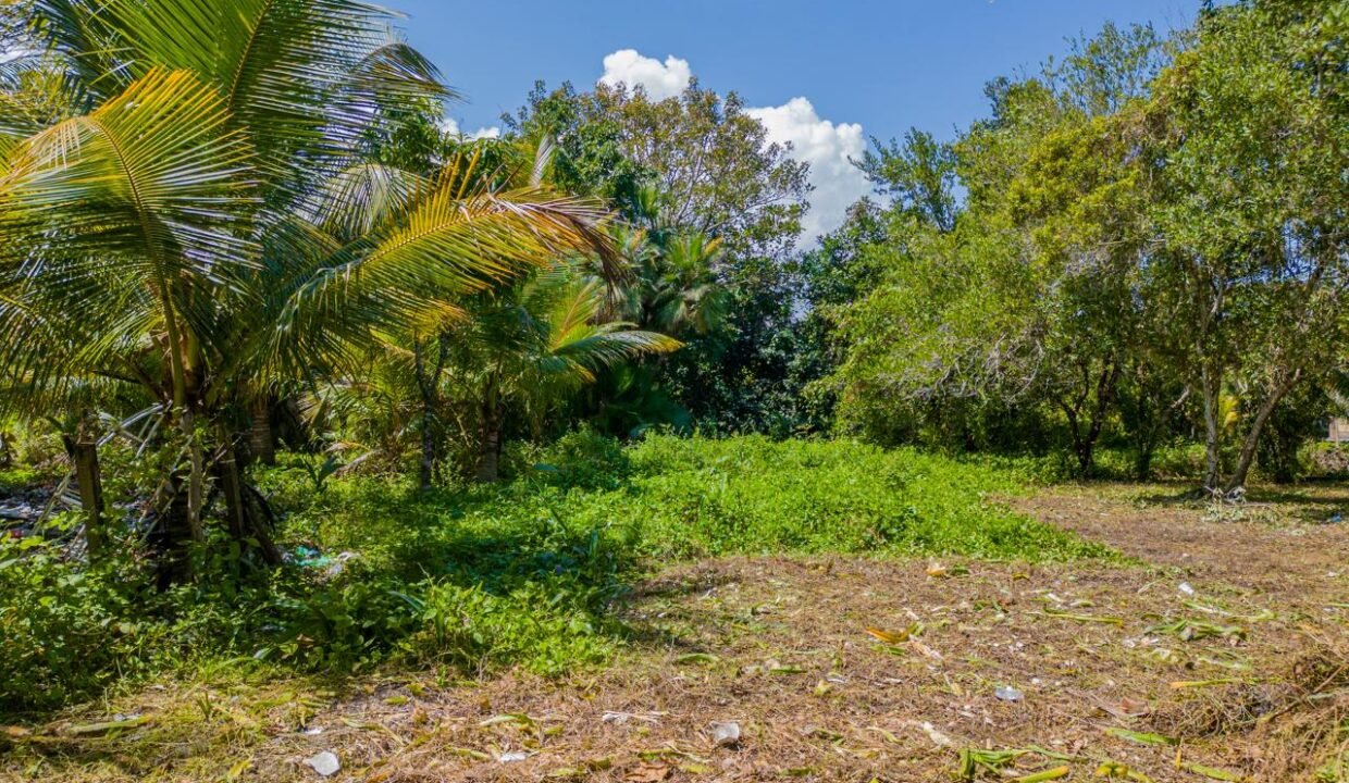 Terreno en Nueva Punta Palma Frente al Mar Puerto Barrios (3)