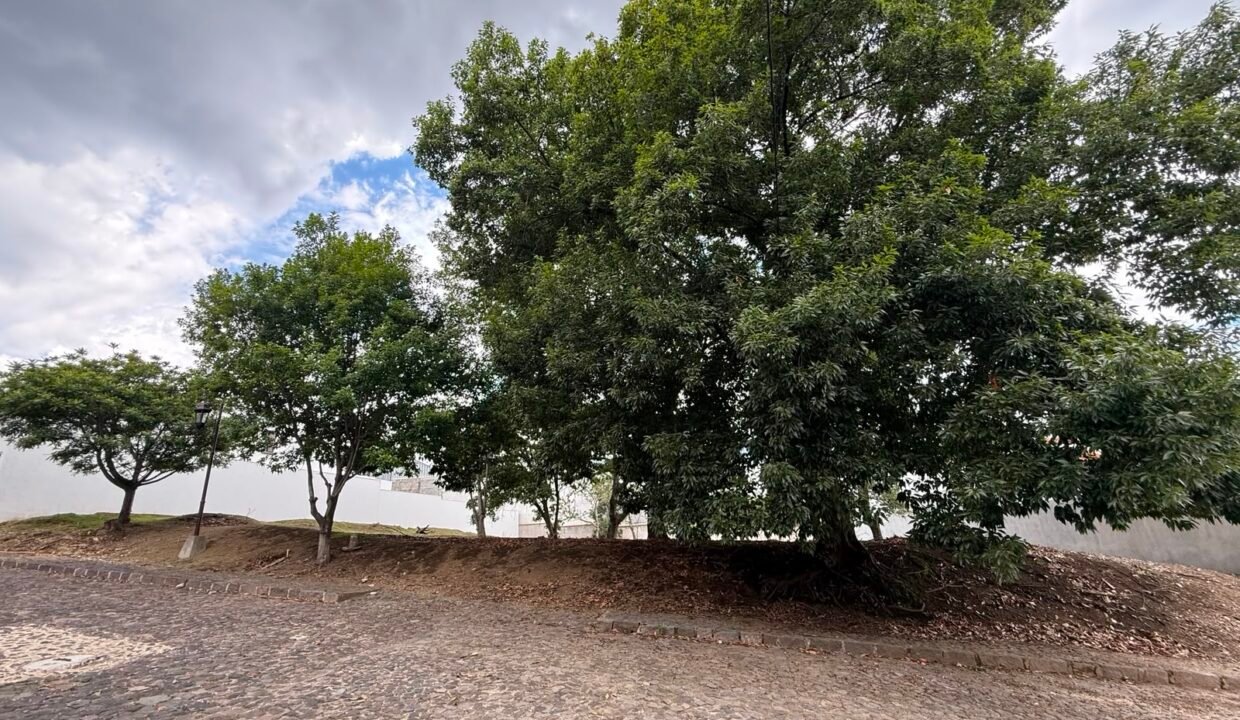 Terreno en Antigua Guatemala En Condominio Finca de Santa Delfina (1)