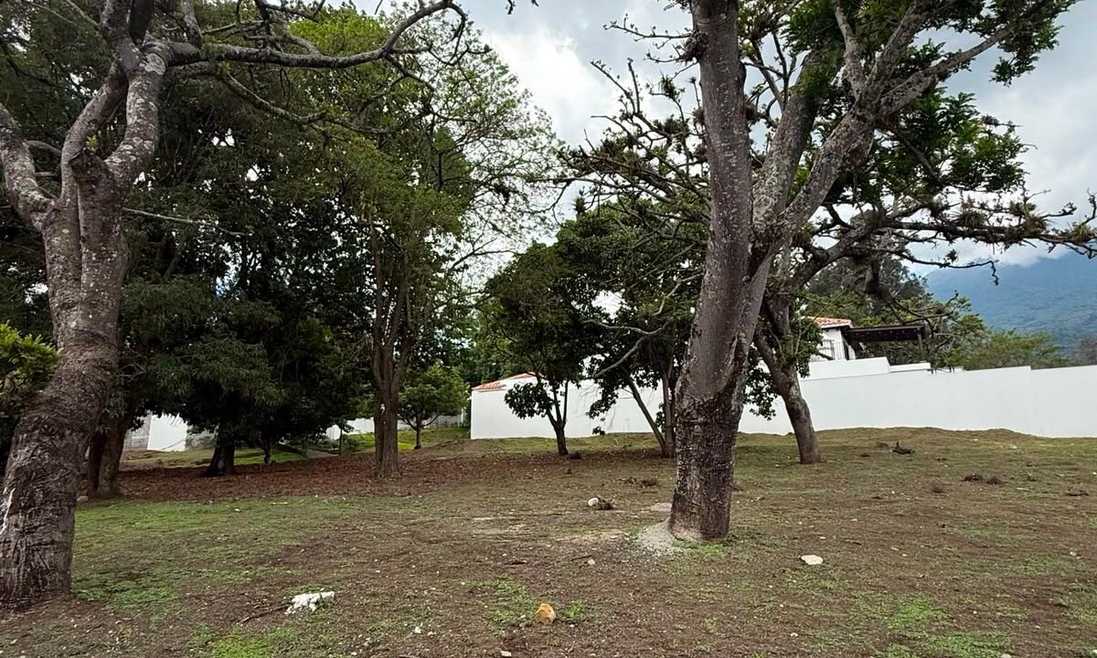 Terreno en Antigua Guatemala En Condominio Finca de Santa Delfina (10)