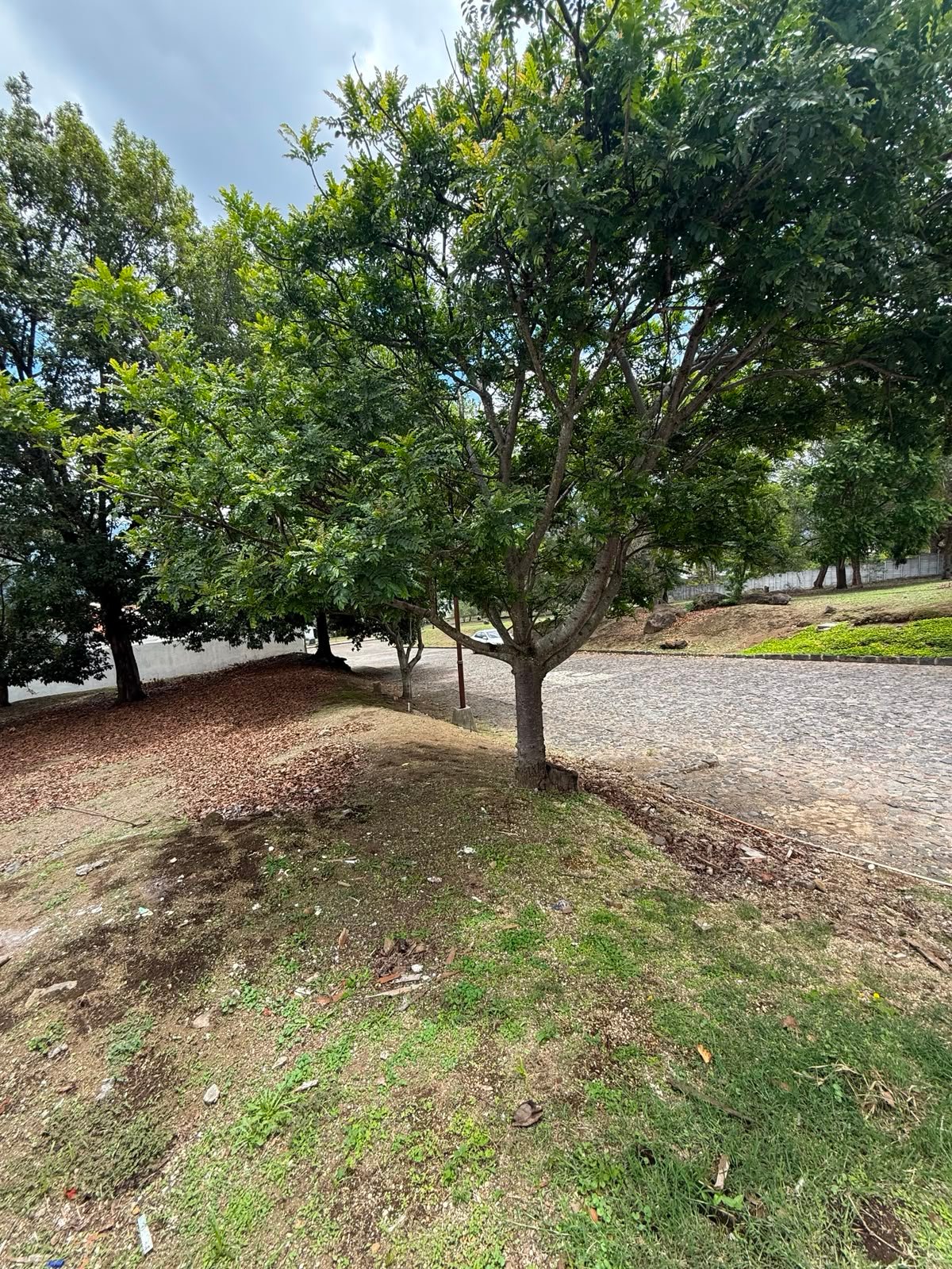 Terreno en Antigua Guatemala | En Condominio Finca de Santa Delfina - Miniatura 7