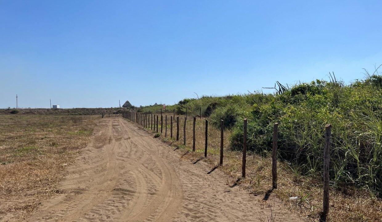 Terreno en El Paredón Frente al Mar 5,000 v² (2)