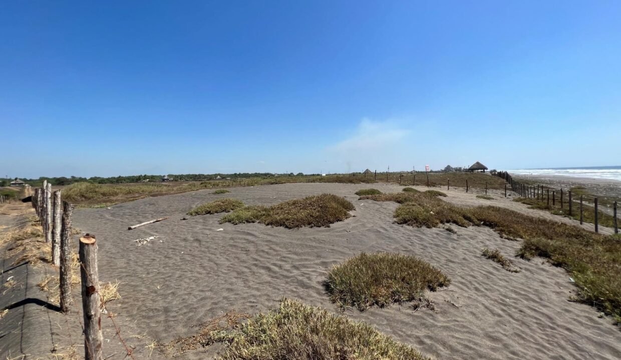 Terreno en El Paredón Frente al Mar 5,000 v² (3)