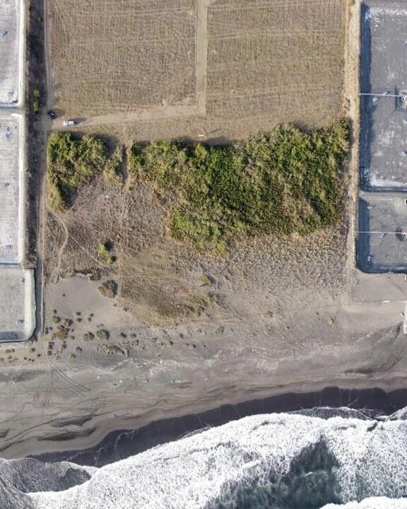 Terreno en El Paredón Frente al Mar 5,000 v² (6)