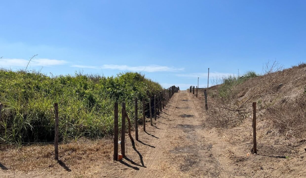 Terreno en El Paredón Frente al Mar 5,000 v² (7)
