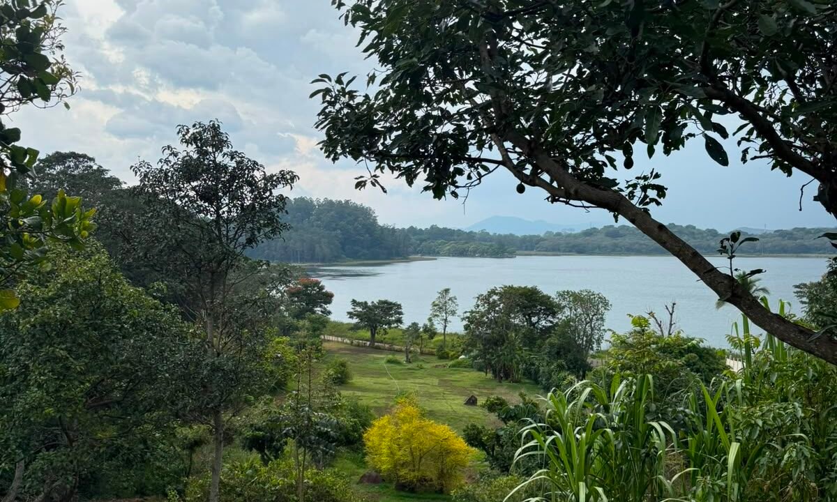 Terreno en Laguna del Pino Acceso a la Laguna Preciosa Vista a los Volcanes (1)