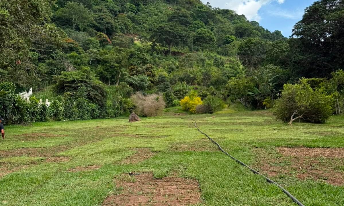 Terreno en Laguna del Pino Acceso a la Laguna Preciosa Vista a los Volcanes (2)