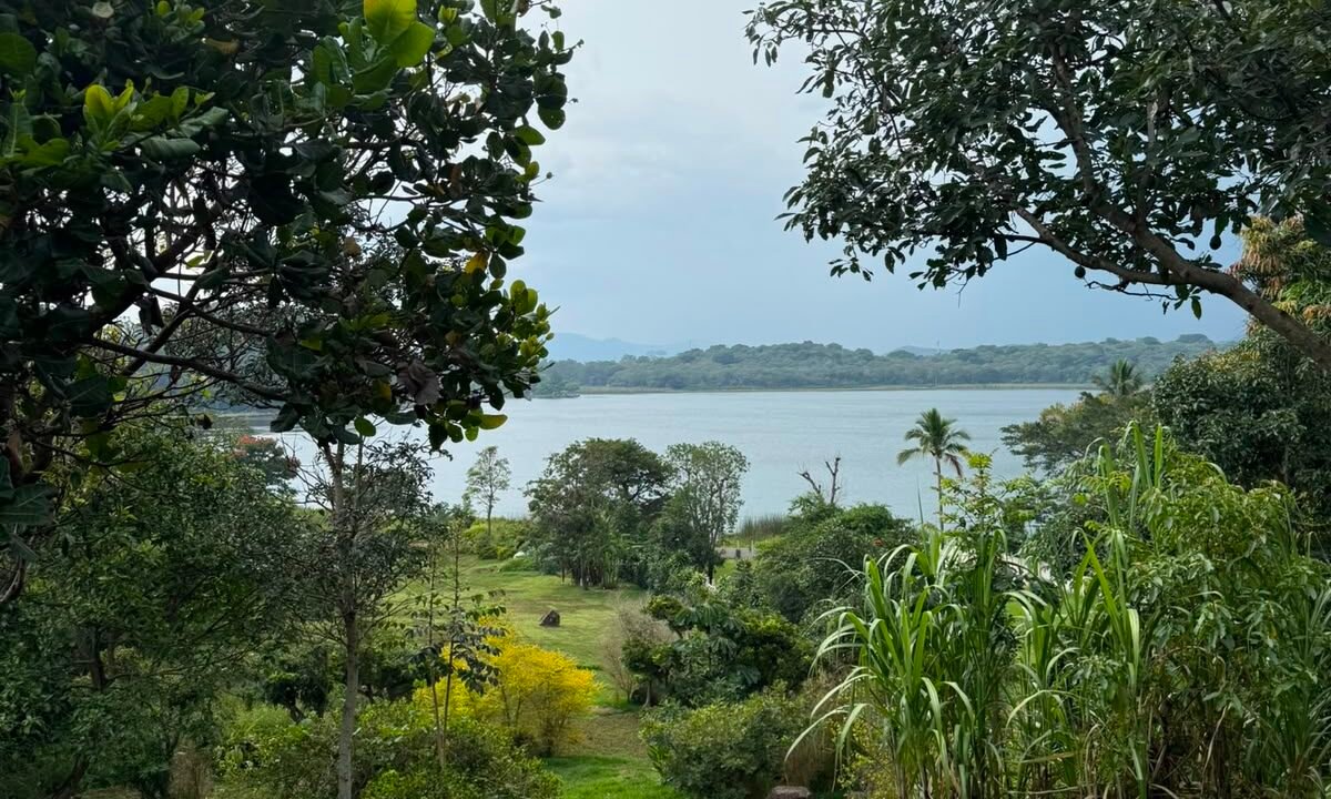 Terreno en Laguna del Pino Acceso a la Laguna Preciosa Vista a los Volcanes (5)