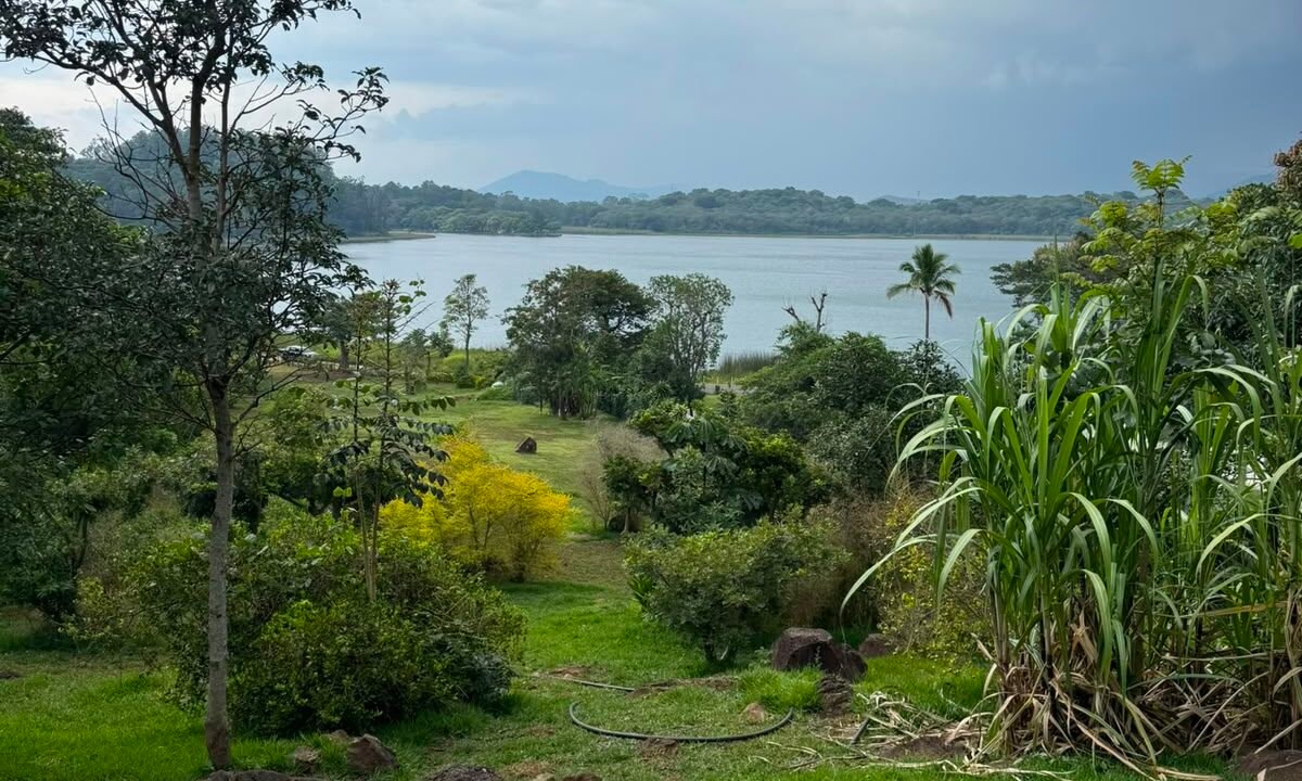 Terreno en Laguna del Pino Acceso a la Laguna Preciosa Vista a los Volcanes (6)