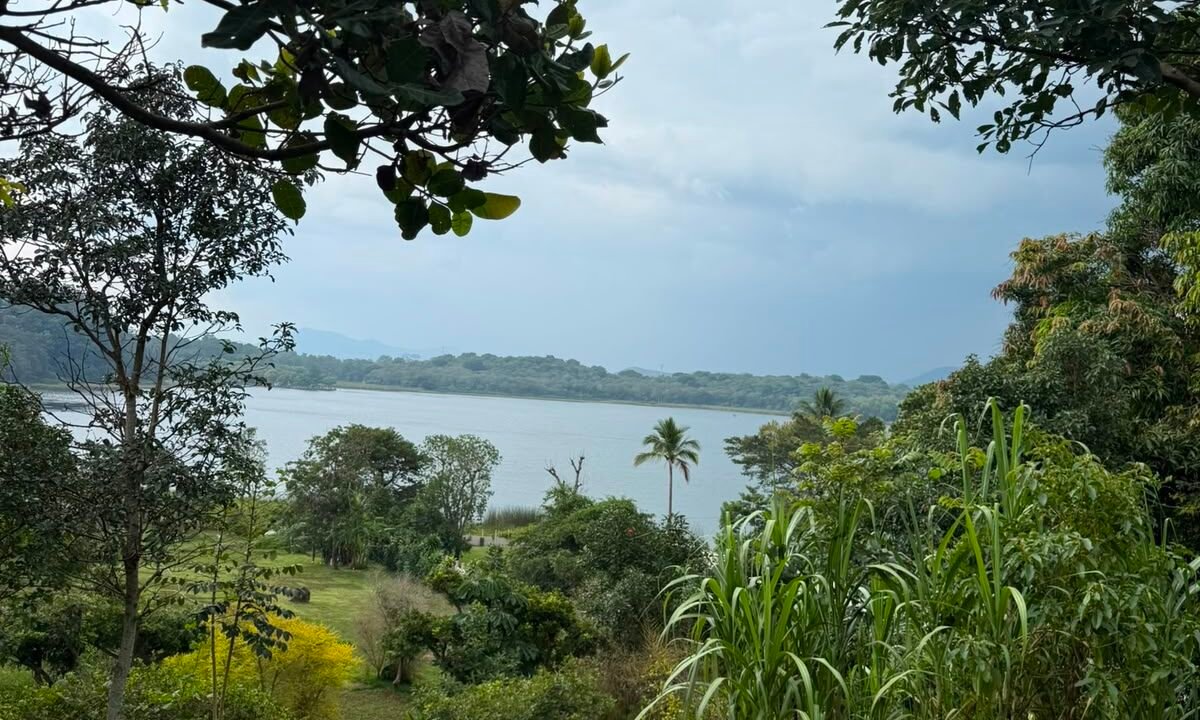 Terreno en Laguna del Pino Acceso a la Laguna Preciosa Vista a los Volcanes (7)