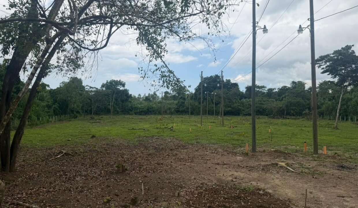 Terreno en Río Dulce 13 Lotes Rústicos Disponibles Río Dulce, Livingston, Izabal (4)