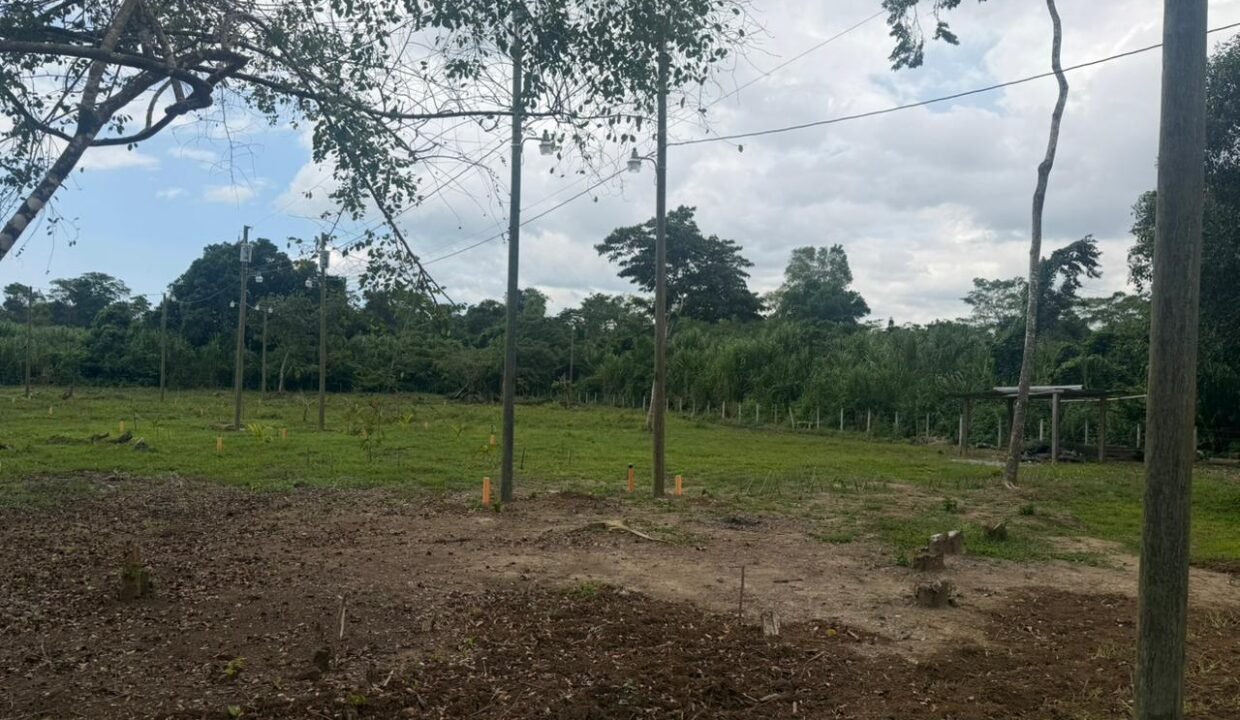 Terreno en Río Dulce 13 Lotes Rústicos Disponibles Río Dulce, Livingston, Izabal (5)