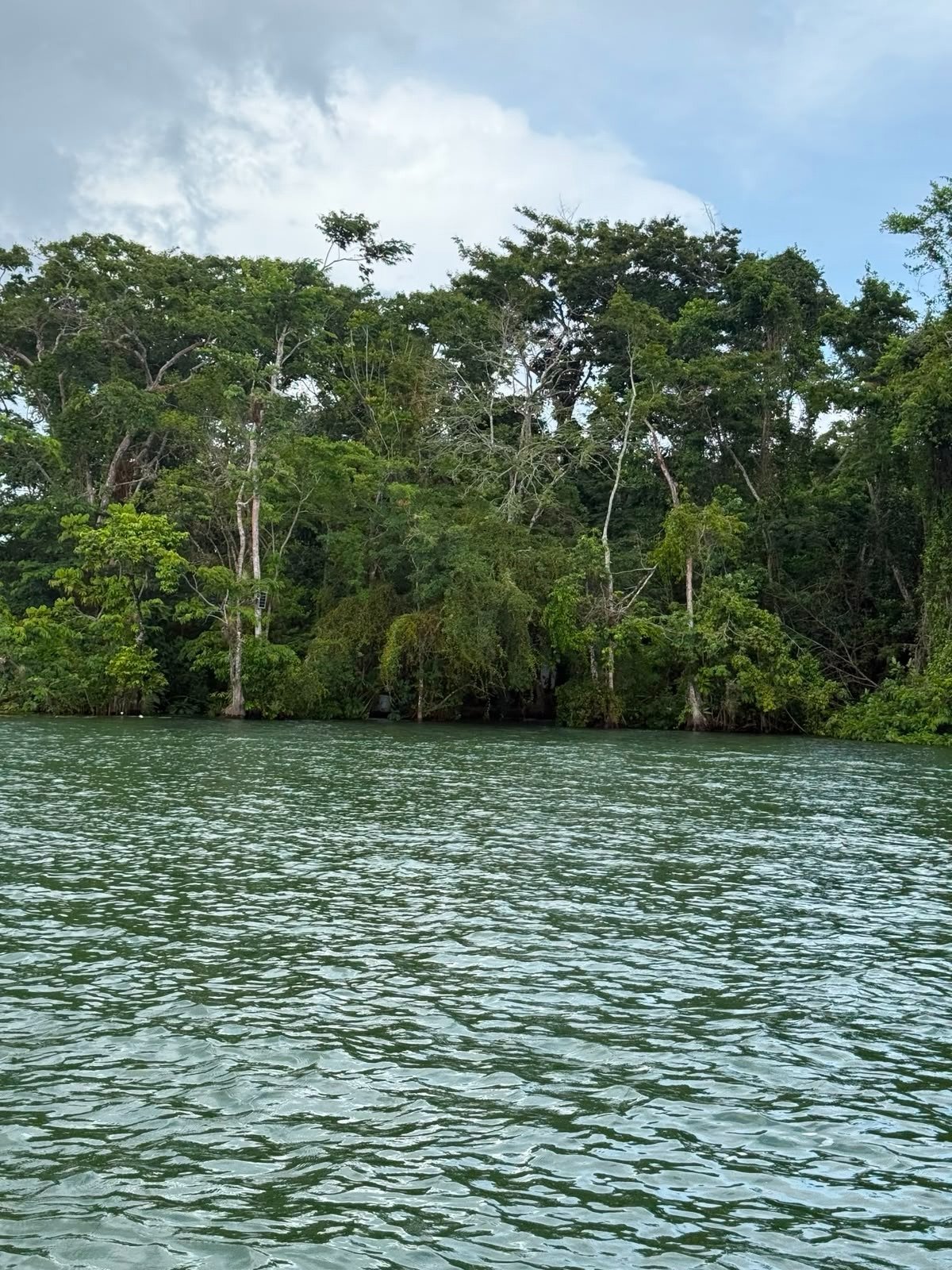 Terreno en Río Dulce | Cerca del Puente - Image 1