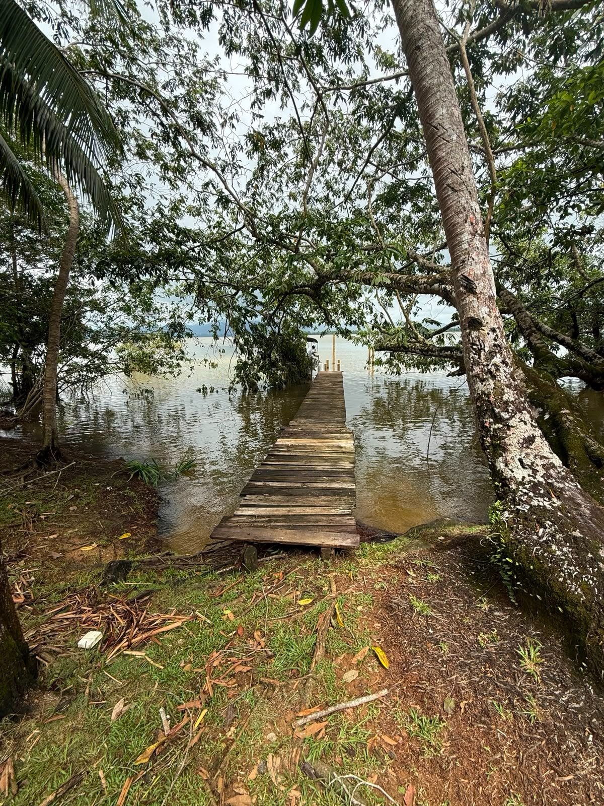 Terreno en Río Dulce | Por El Golfete - Image 1