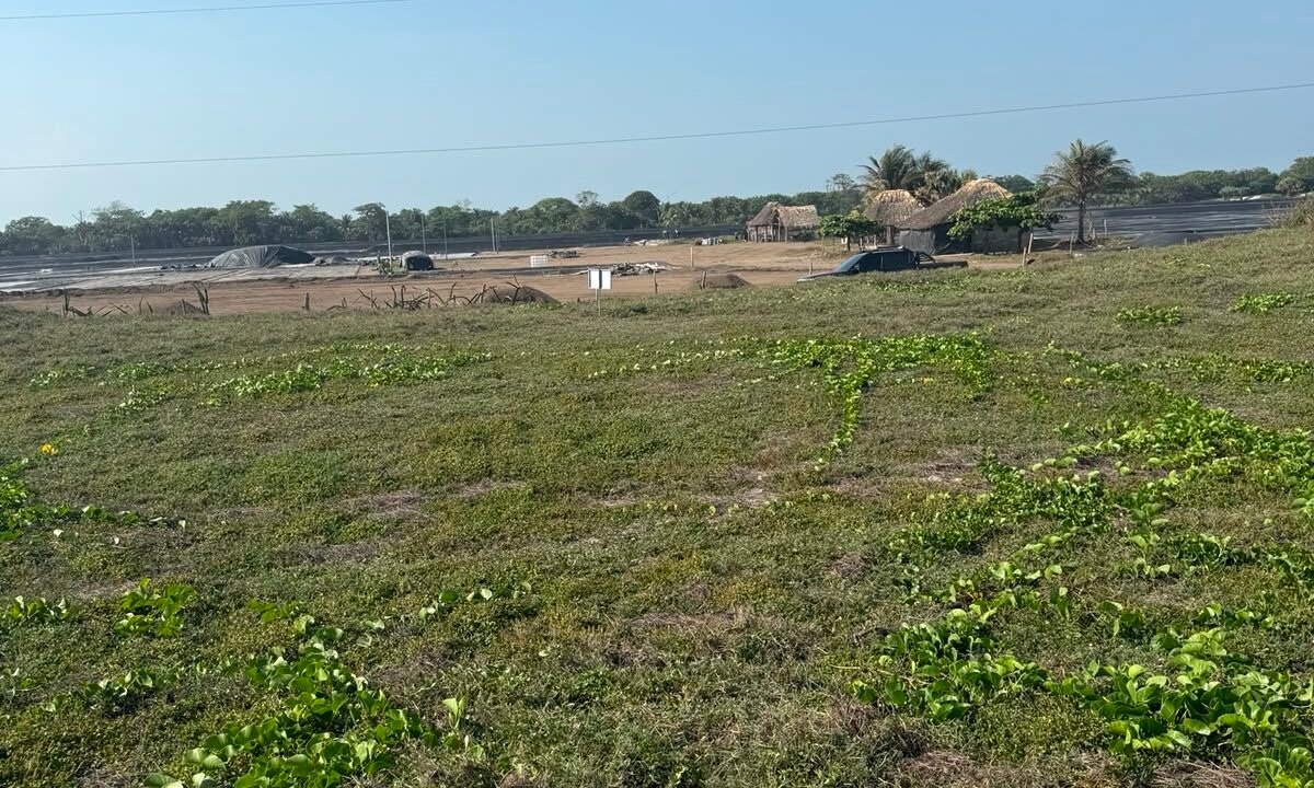 Terreno en Sipacate Frente al Mar Rama Blanca (2)
