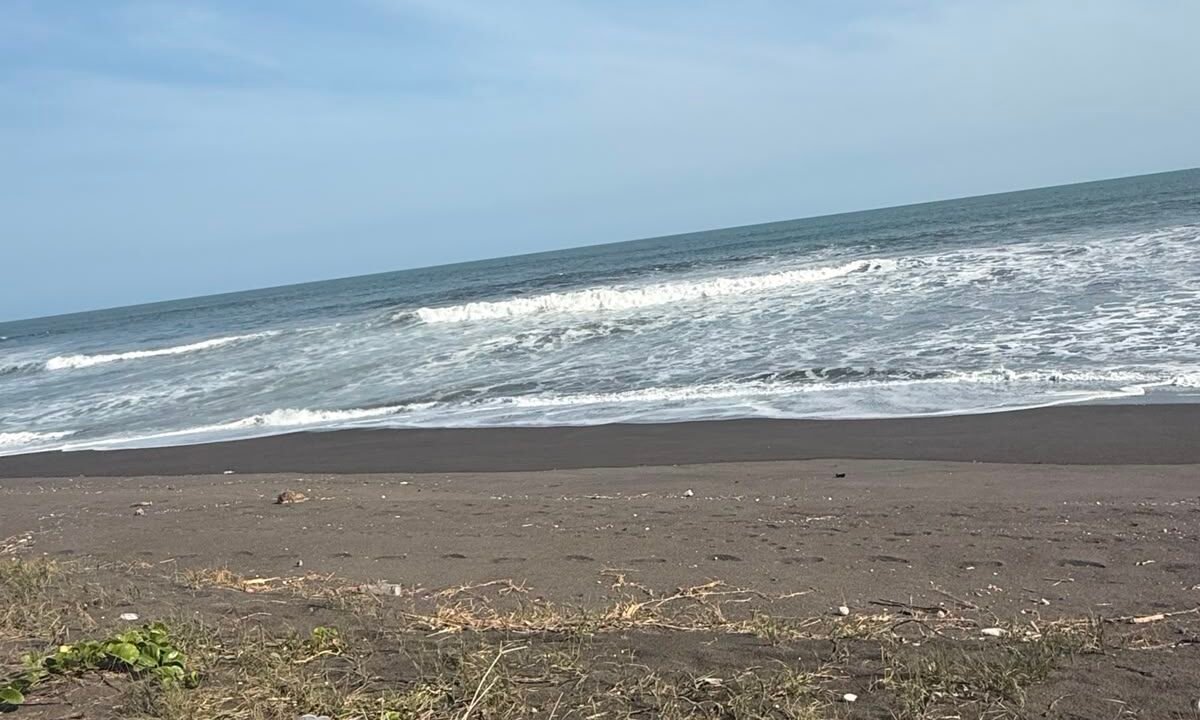 Terreno en Sipacate Frente al Mar Rama Blanca (4)